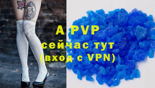 apvp Богданович